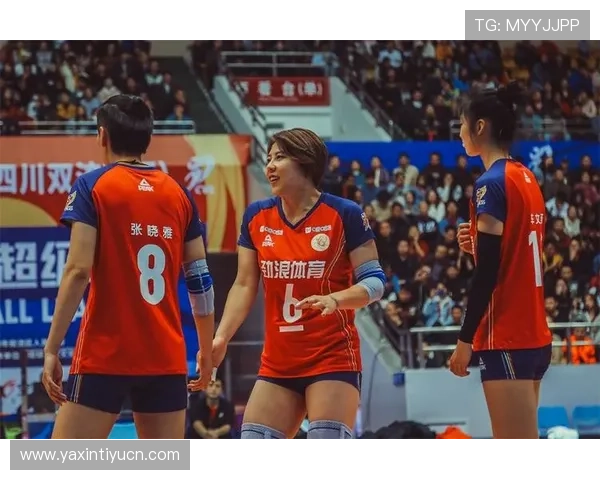 劲浪体育携手知名品牌共推全民健身运动，助力城市体育文化繁荣