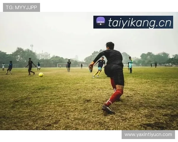 开云体育入口链接最新官方入口地址推荐，便捷快速登录体验全新升级