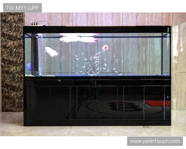 亚新体育网页版登录入口更新，提供稳定安全的登录体验与账号保护措施