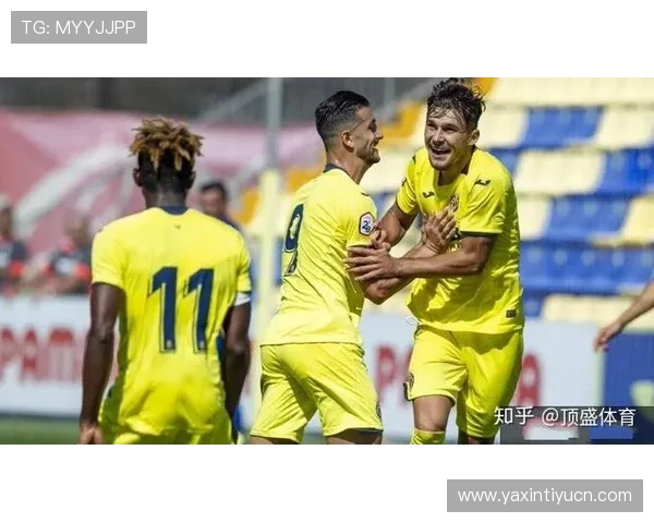 顶盛体育官方网址用户评价与反馈，真实体验分享助你选择最可靠的体育平台