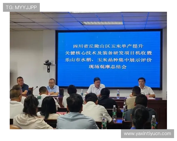 中国买球市场发展现状与未来趋势全面解读助力玩家把握投资良机